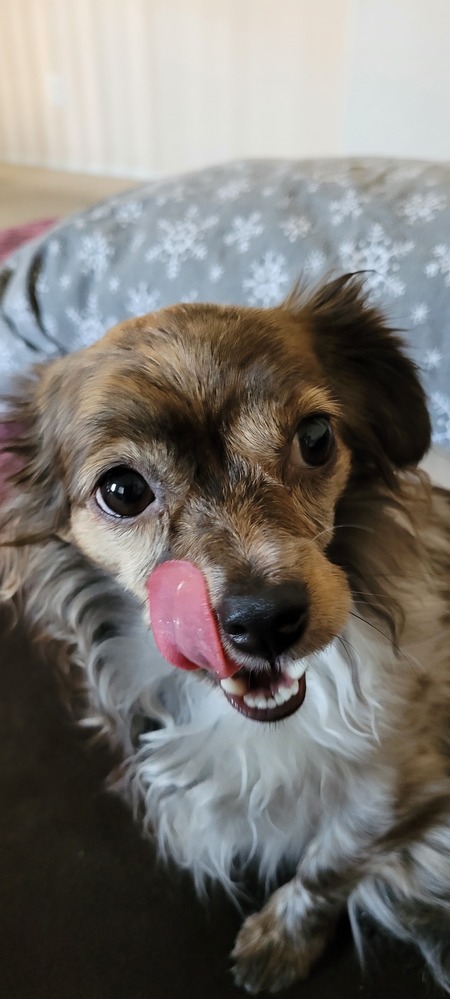 Entry image for Addie. Clicking this image will show a larger photo