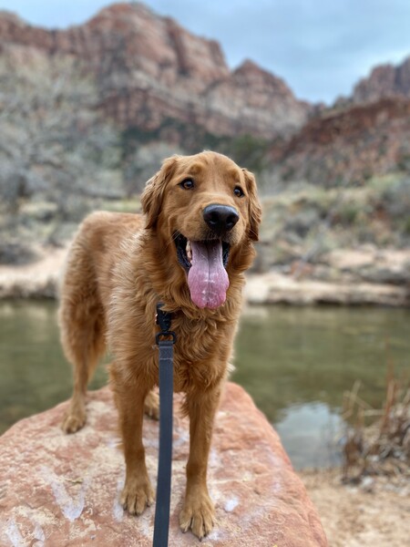 Entry image for Franklin . Clicking this image will show a larger photo