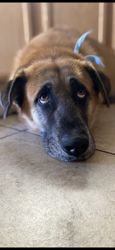 Entry image for Max. Clicking this image will show a larger photo