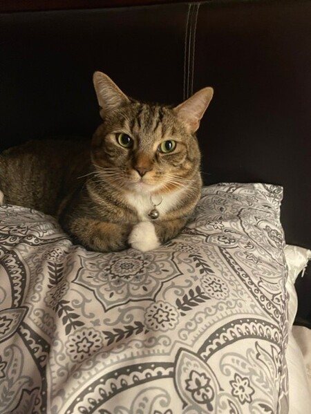 Entry image for Crosby. Clicking this image will show a larger photo