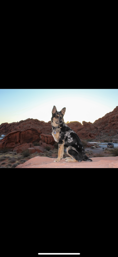 Entry image for Denver. Clicking this image will show a larger photo