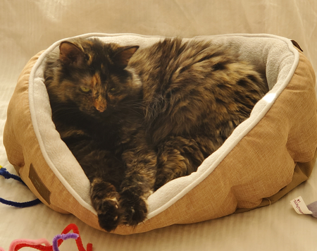 Entry image for Katja. Clicking this image will show a larger photo