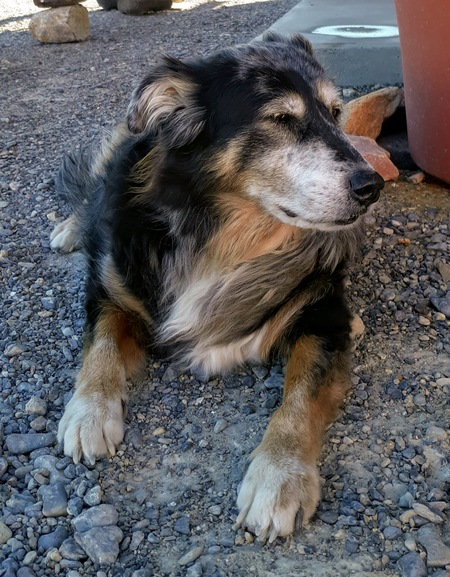 Entry image for Mrs. Millie Miller. Clicking this image will show a larger photo