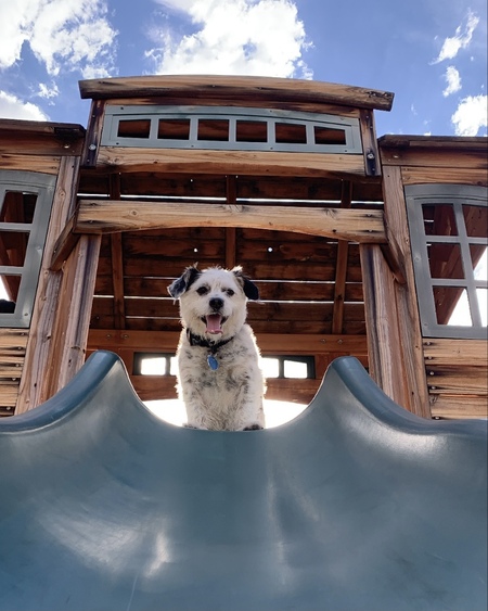 Entry image for Jack. Clicking this image will show a larger photo