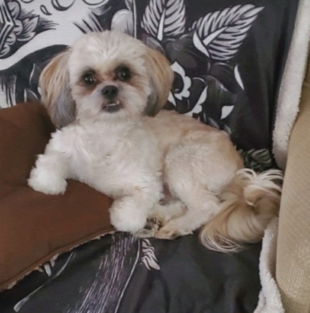 Entry image for Tobie. Clicking this image will show a larger photo