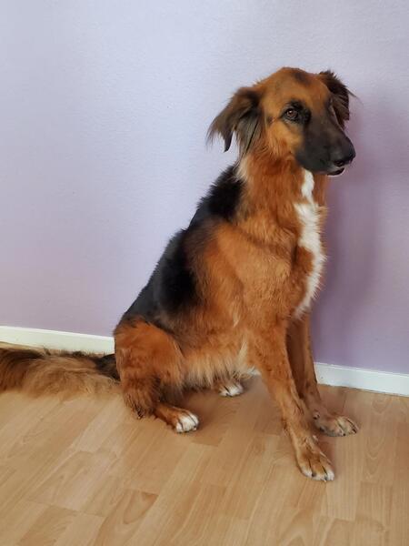 Entry image for Dori. Clicking this image will show a larger photo