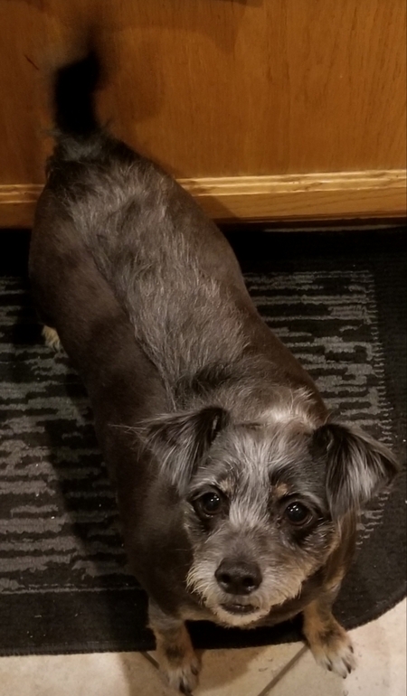 Entry image for Taco. Clicking this image will show a larger photo