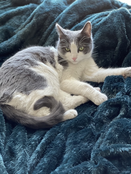 Entry image for Gilda . Clicking this image will show a larger photo