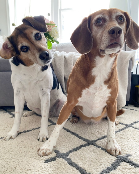 Gypsy and Rey 