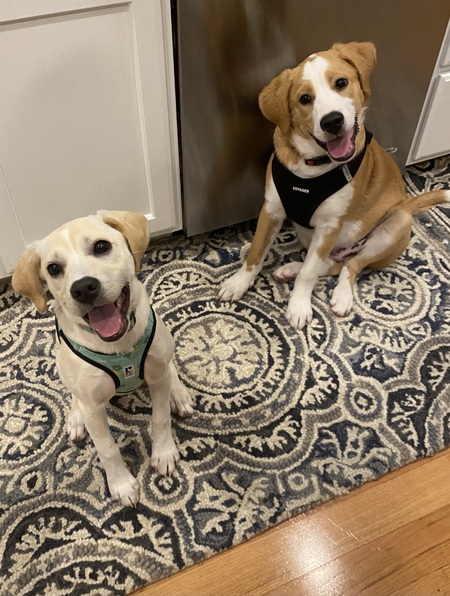 Nixie & Wilbur