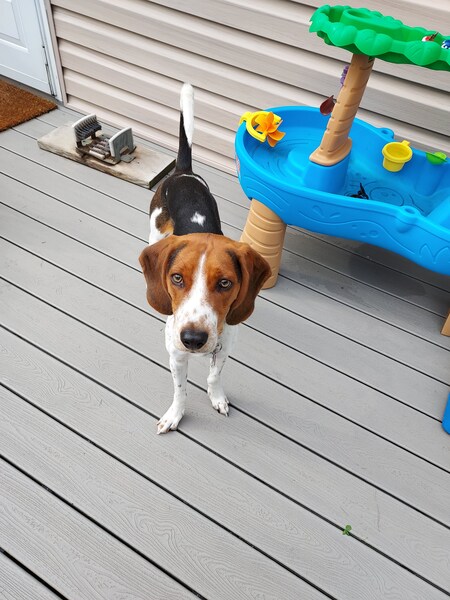 Charlie