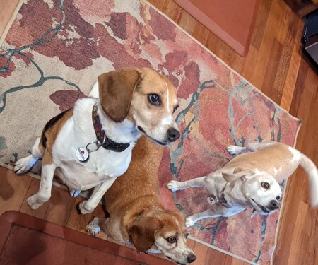 The Threegles