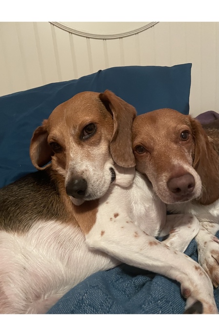 Woodie and Snoopie