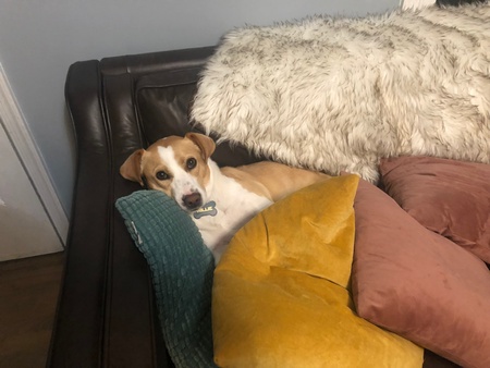 Millie