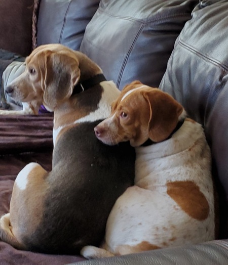 Madison and Juneau