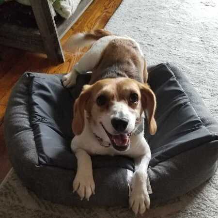Katie
