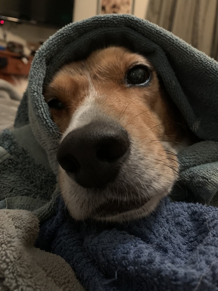 Pete