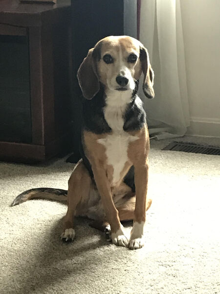 Molly