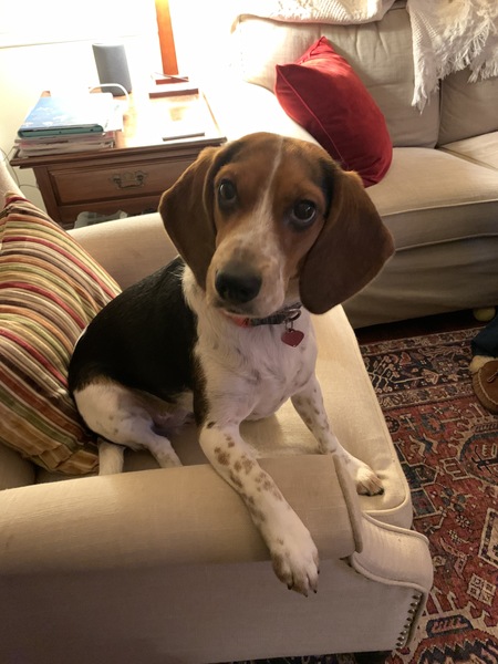 Lucy