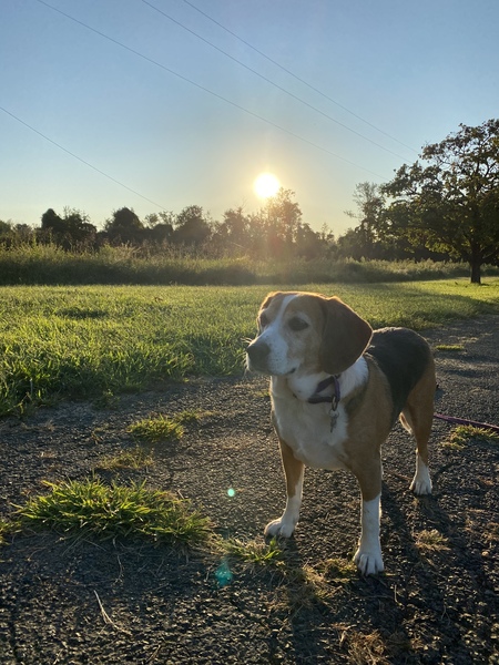 Maggie 