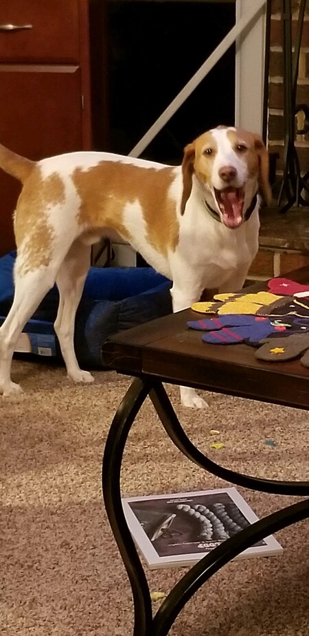 DIXON