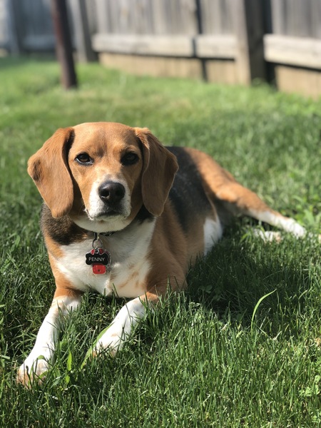 Penny