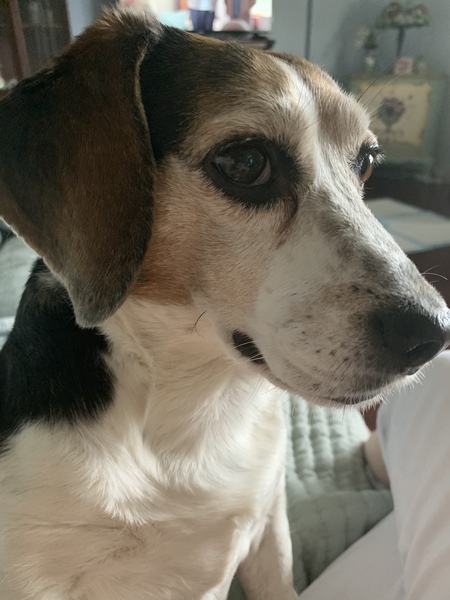 Luckie