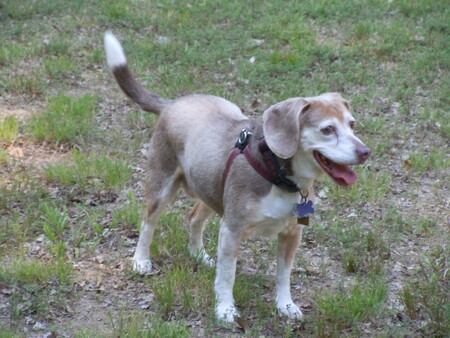Lola