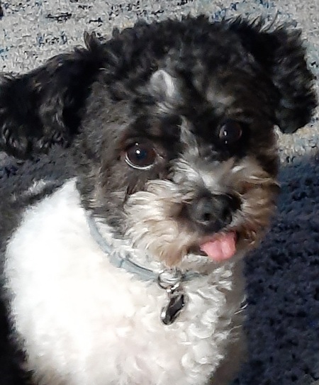 Jax
