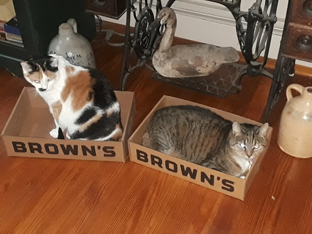 Mia and Fiona