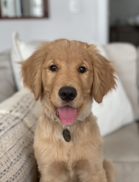 Henry