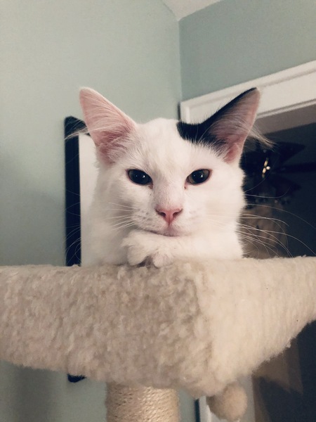 Max 