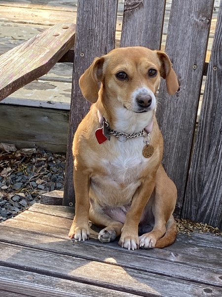 Frankie