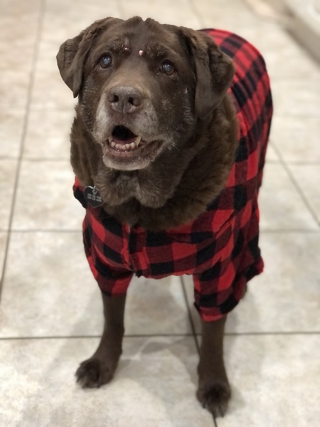 Roxie