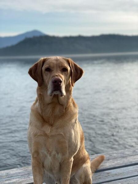 Duke