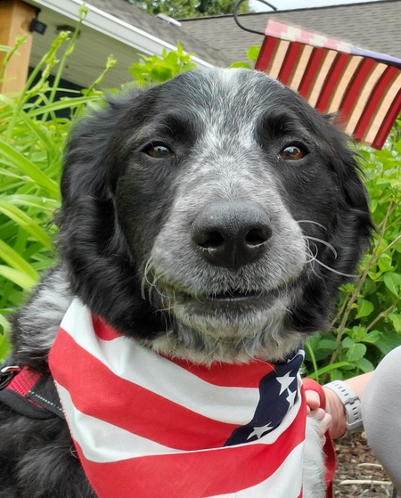 Benny
