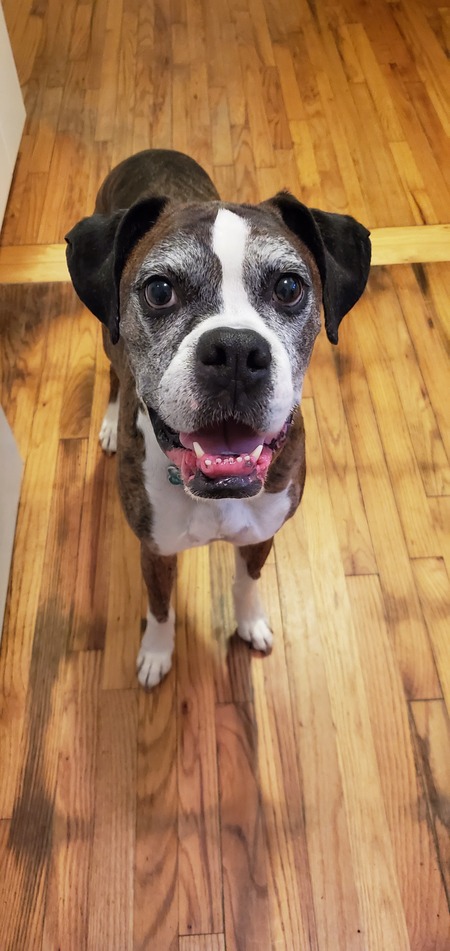 Gus