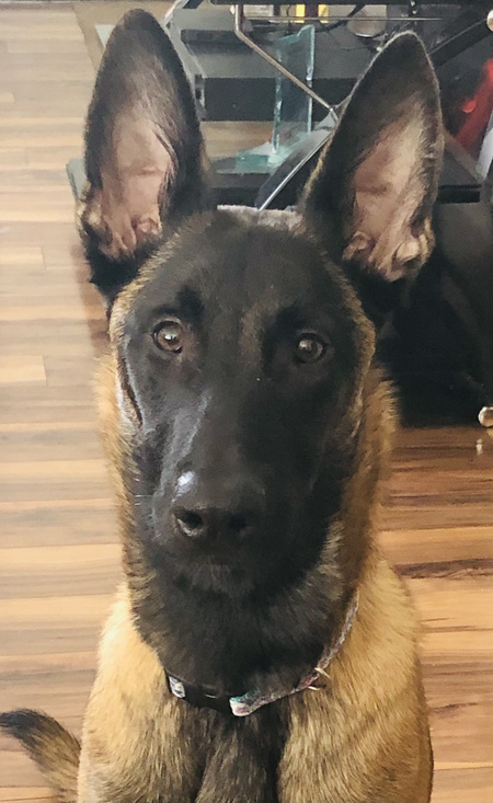 Maya