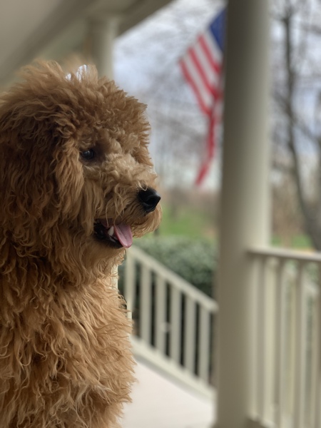 Hudson