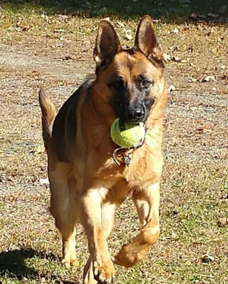 Axel