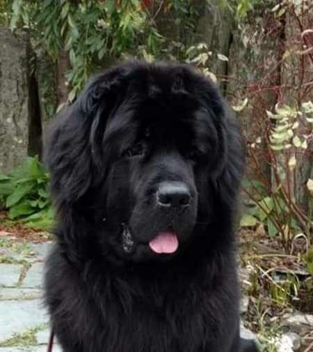 Cosmo