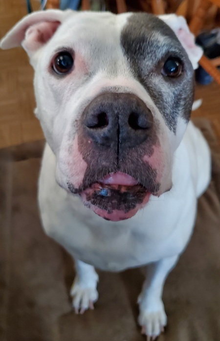 Molly