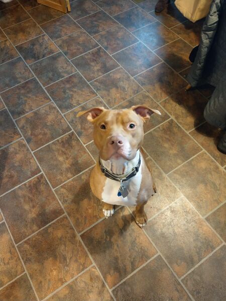 Brady