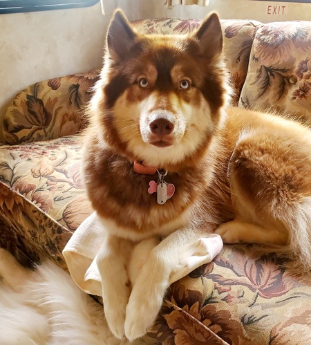 Sierra 