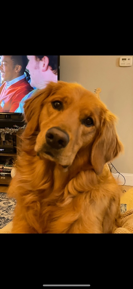 Barley
