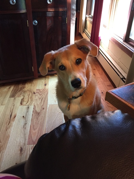 Buster