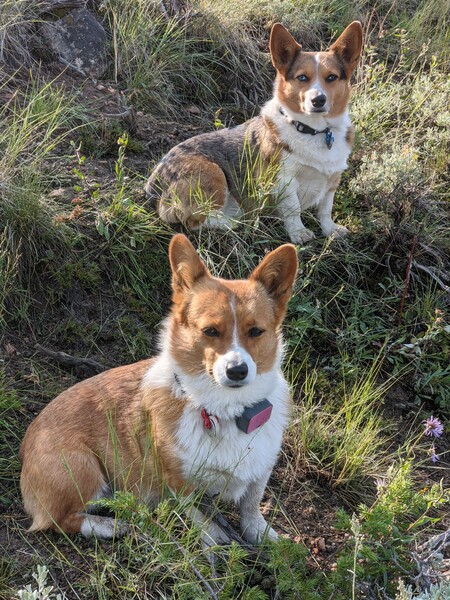 BeBe and Pippi