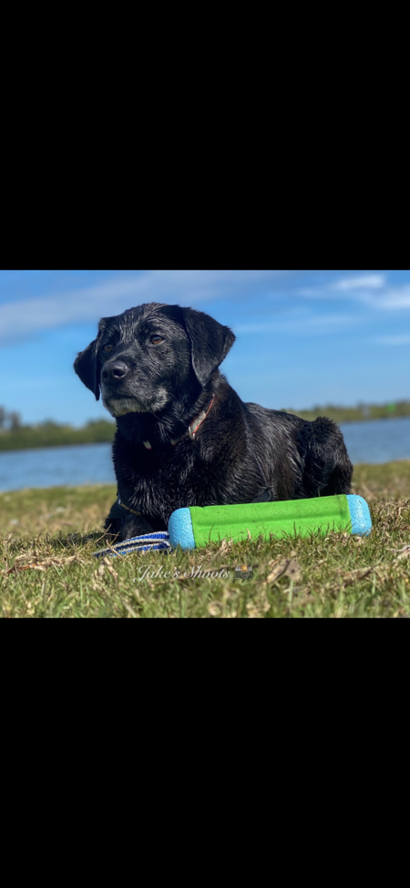 Oakley