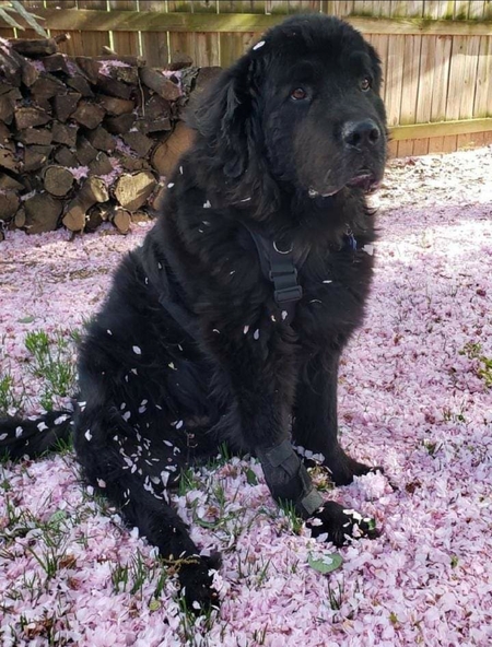 Murphy
