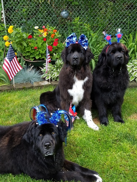 Rudy,  Phoebe and Blu 